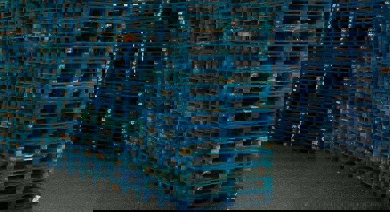 Euro Pallet Stack (3)