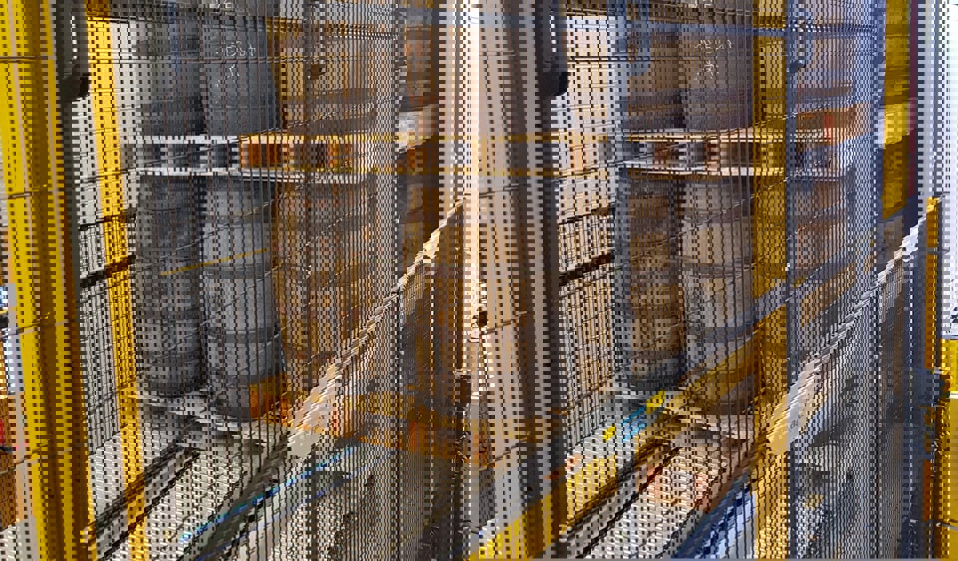 Moving Floor6 (1)